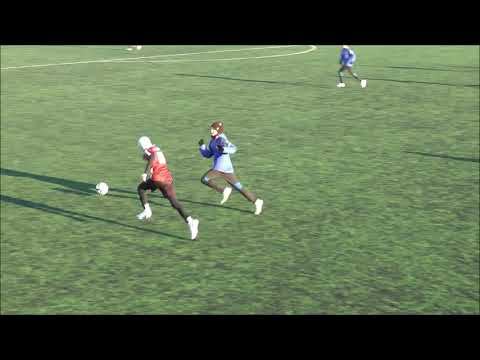 Чертаново (д) - Царицыно 3:0 Обзор матча смотреть онлайн