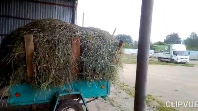 Как я заготавливаю сено на зиму смотреть онлайн
