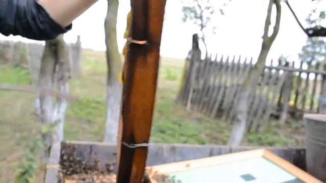 Качаємо, беремо мед смотреть онлайн