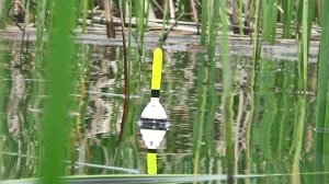 ЛОВИЛ КАРАСЕЙ-ЛАПТЕЙ! ПОПАЛ В СЕТИ! РЕКА ПЕРЕКРЫТА БРАКОНЬЕРСКИМИ СЕТЯМИ