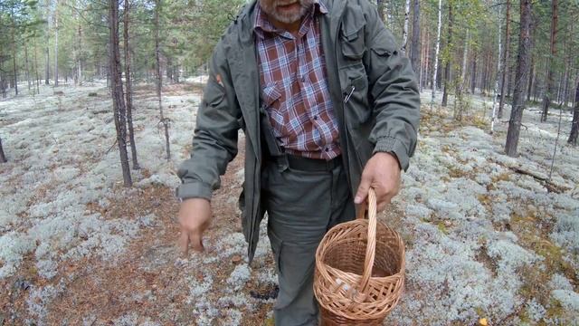 За белыми грибами смотреть онлайн