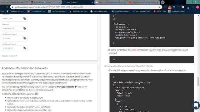 Creating a Certificate Authority and TLS Certificates for Kubernetes NCD1219H004 24032020 смотреть онлайн