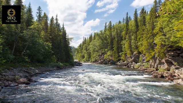 COMPLETE QURAN SERIES︱BEAUTIFUL RECITATIONS︱JUZ'/PARA 07/30︱DIFFERENT RECITERS︱BEST MEDITATION︱SIDQ