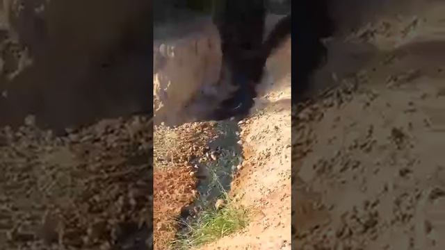 Lançamento de Esgoto no Igarapé Mirandinha смотреть онлайн