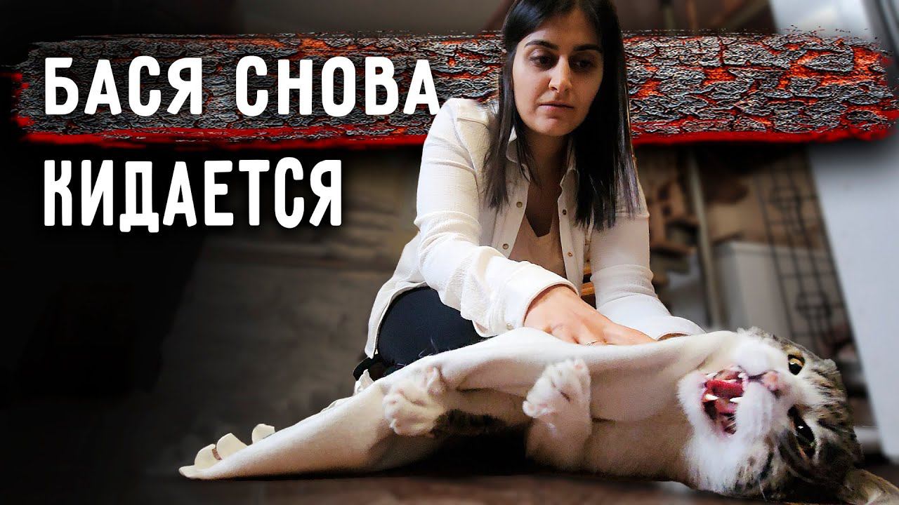 Снова серьезный конфликт с Басей, прокусил перчатки. Ричик сбежал. Айза и Вилли снова в кадре. смотреть онлайн