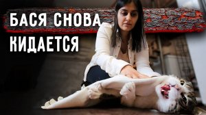 Снова серьезный конфликт с Басей, прокусил перчатки. Ричик сбежал. Айза и Вилли снова в кадре.