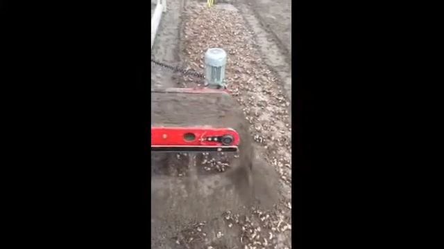 Planting Bletilla In The Westland (Netherlands)