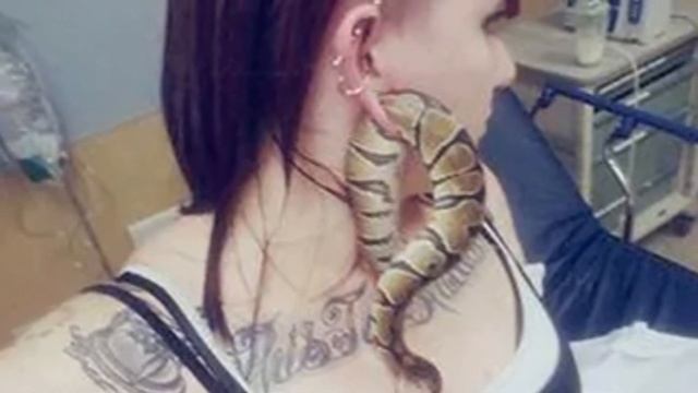 ЗМЕЯ ЗАСТРЯЛА В МОЧКЕ УХА У ВЛАДЕЛИЦЫ И ВЫНУДИЛА ЕЁ... смотреть онлайн