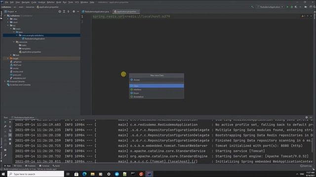 Using REDIS With Java