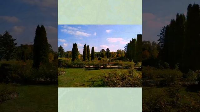 Ботанический сад в Минске. релакс-музыка. цветы.фотографии.Relax, rest. смотреть онлайн