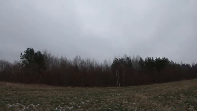 Охота с гончими на лису декабрь 2019г смотреть онлайн