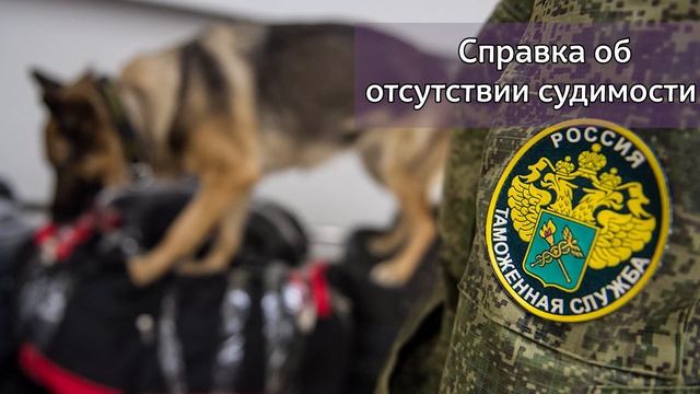 Секреты Профессионального Творца