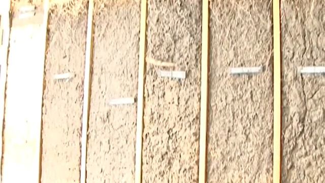 В Курске встречали родственников профессора Алехина