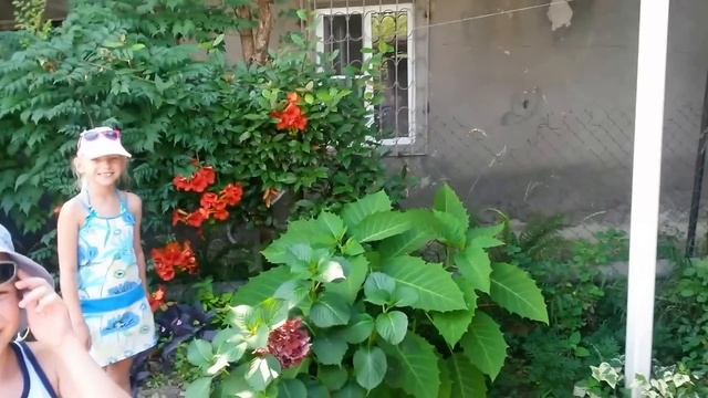 Абхазия Гагра , жилье частный сектор - ул. Адыгаа 127 смотреть онлайн