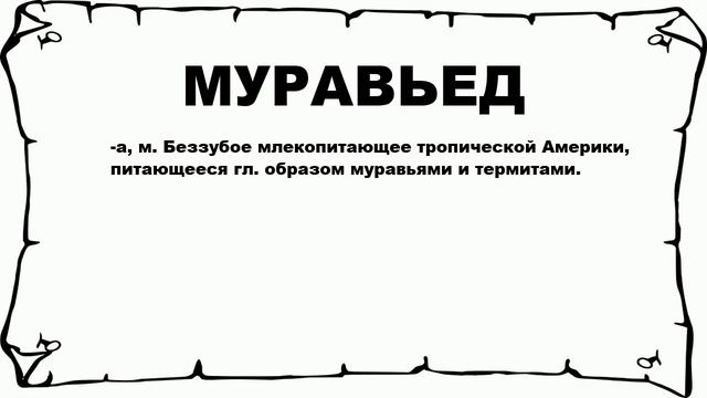 МУРАВЬЕД - что это такое? значение и описание смотреть онлайн
