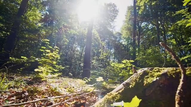 ВОССТАНОВЛЕНИЕ НЕРВНОЙ СИСТЕМЫ ? Нежная музыка, успокаивает нервную систему и радует душу #9 смотреть онлайн