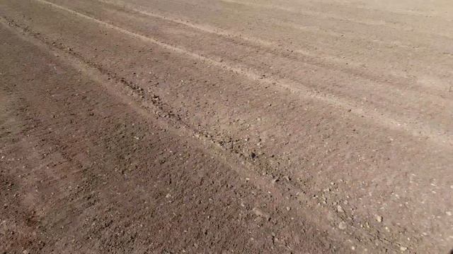 Сезон открыт-фрезерую землю с Т-25 и фрезой Bomet смотреть онлайн