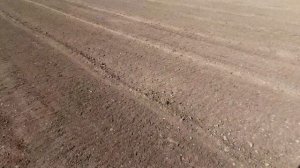 Сезон открыт-фрезерую землю с Т-25 и фрезой Bomet