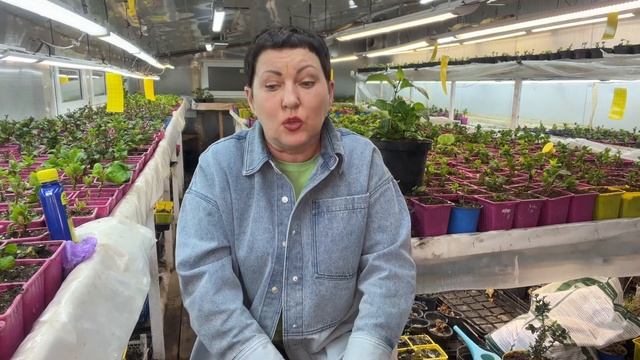 Уважайте подписчиков, не тратьте наше время. Все на блюдечке. Кто, чье время тратит?