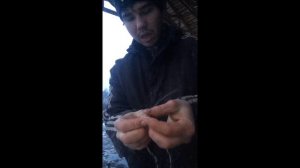 Соединение проводов электроизгороди