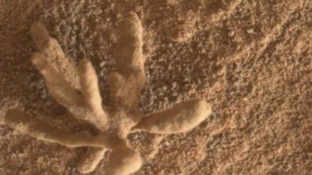 Curiosity Rover Snapped This Photo of a Tiny And Delicate Mineral 'Flower' on Mars смотреть онлайн