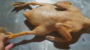 Как определить время забоя уток. Забой и разделка уток Стар 53. "Мое Подворье"