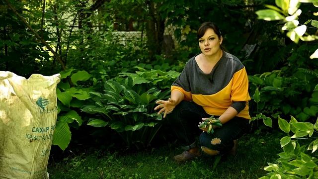 Как укладывать камни на альпийской горке/ "Жаростойкие" розы/ Хосты и астранция/ Садовый влог 28.06 смотреть онлайн