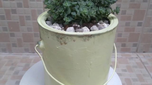 Gatinhas Em Epóxi, DECORAÇÃO BARATA E MUITO RESISTENTE AO TEMPO Pra Latas Com Suculentas 🥰