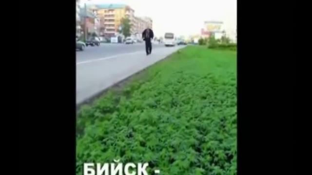 Мой город Бийск смотреть онлайн