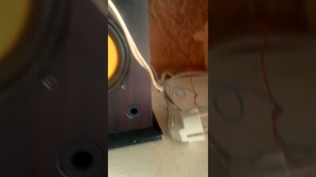 Усилитель из китая смотреть онлайн
