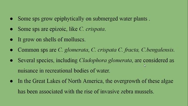 B.sc. part I,Botany, paper - I, Cladophora part I смотреть онлайн