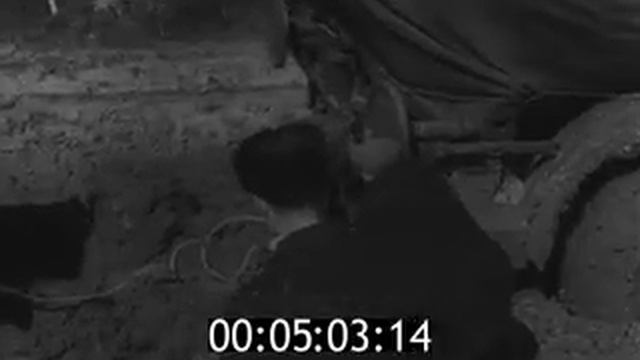 Новые образцы спецавтомобилей ЗИЛ для армии СССР. Часть 2 смотреть онлайн