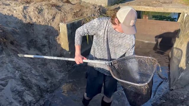 Saving Aquarium Fish From DESTROYED SPILLWAY! смотреть онлайн