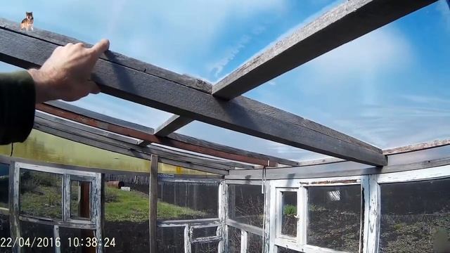 Бюджетная теплица из оконных рам. смотреть онлайн