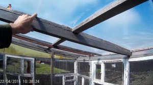 Бюджетная теплица из оконных рам.