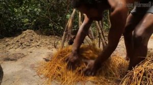 Caveman Created Ancient Gym Workout Tools By Primitive Skills