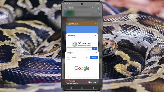 Samsung Galaxy S20 : How to reopen closed tabs in Samsung Internet (Android 10) смотреть онлайн