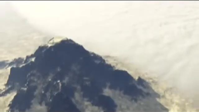 Подводные жители Интересные существа смотреть онлайн