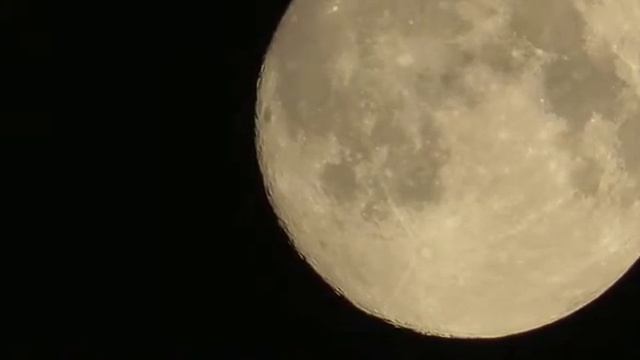 Moon Zoom смотреть онлайн