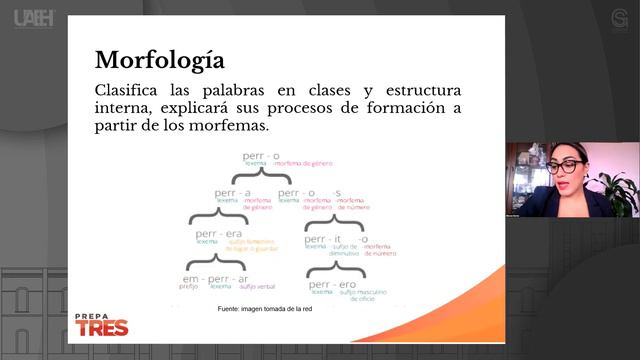 Ramas De La Lingúística