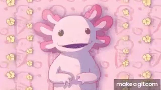 Axolotl