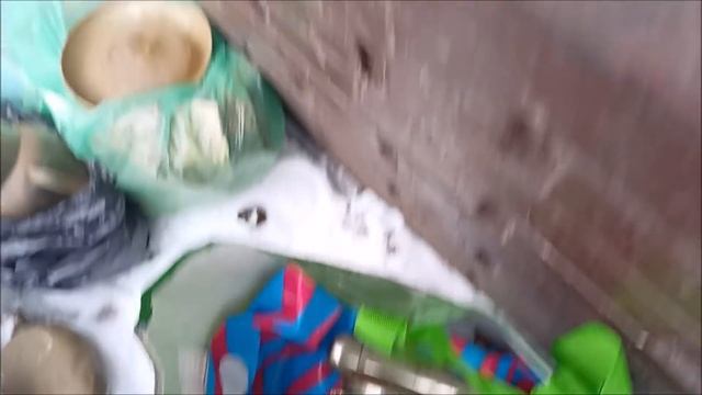 Нашел много еды. Золотое кольцо. смотреть онлайн