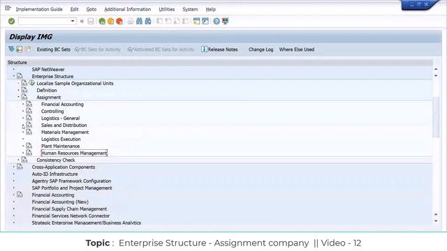 SAP SD || ENTERPRISE STRUCTURE - Assignment Video 12 || SAP SD Realtime Training Course 2023 #sapsd