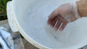 СОЛИМ ЧЕХОНЬ СУХОВА ПОСОЛА, очень вкусно!