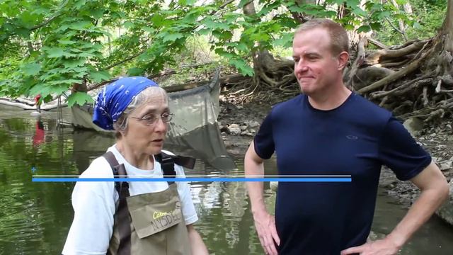 Discover eels of the Hudson River Watershed! смотреть онлайн