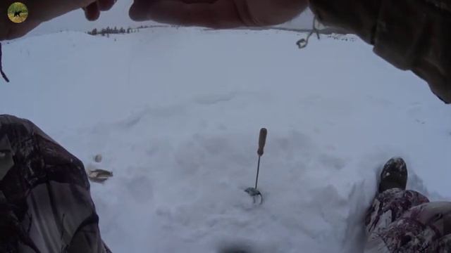 Рыбалка 18 февраля.Рыба здесь есть,и она не может не есть! смотреть онлайн