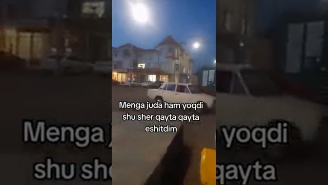 ШЕРНИ ЭШИТИН ХАЁТИЙ МАНОЛИ ШЕР ЭКАН смотреть онлайн