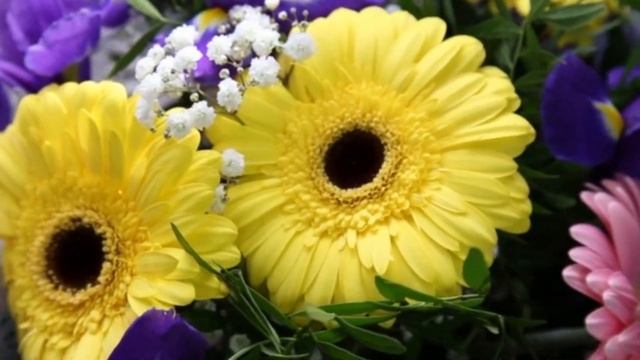Заговор в День Рождения! смотреть онлайн