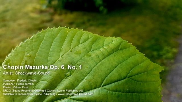 Chopin Mazurka Op. 6 No. 1 смотреть онлайн