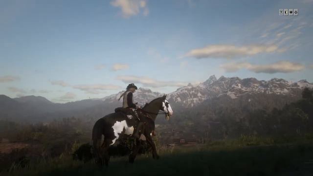 Red Dead Online Black Overo Mustang смотреть онлайн